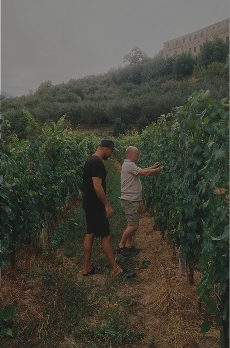 Guest walking through the estate