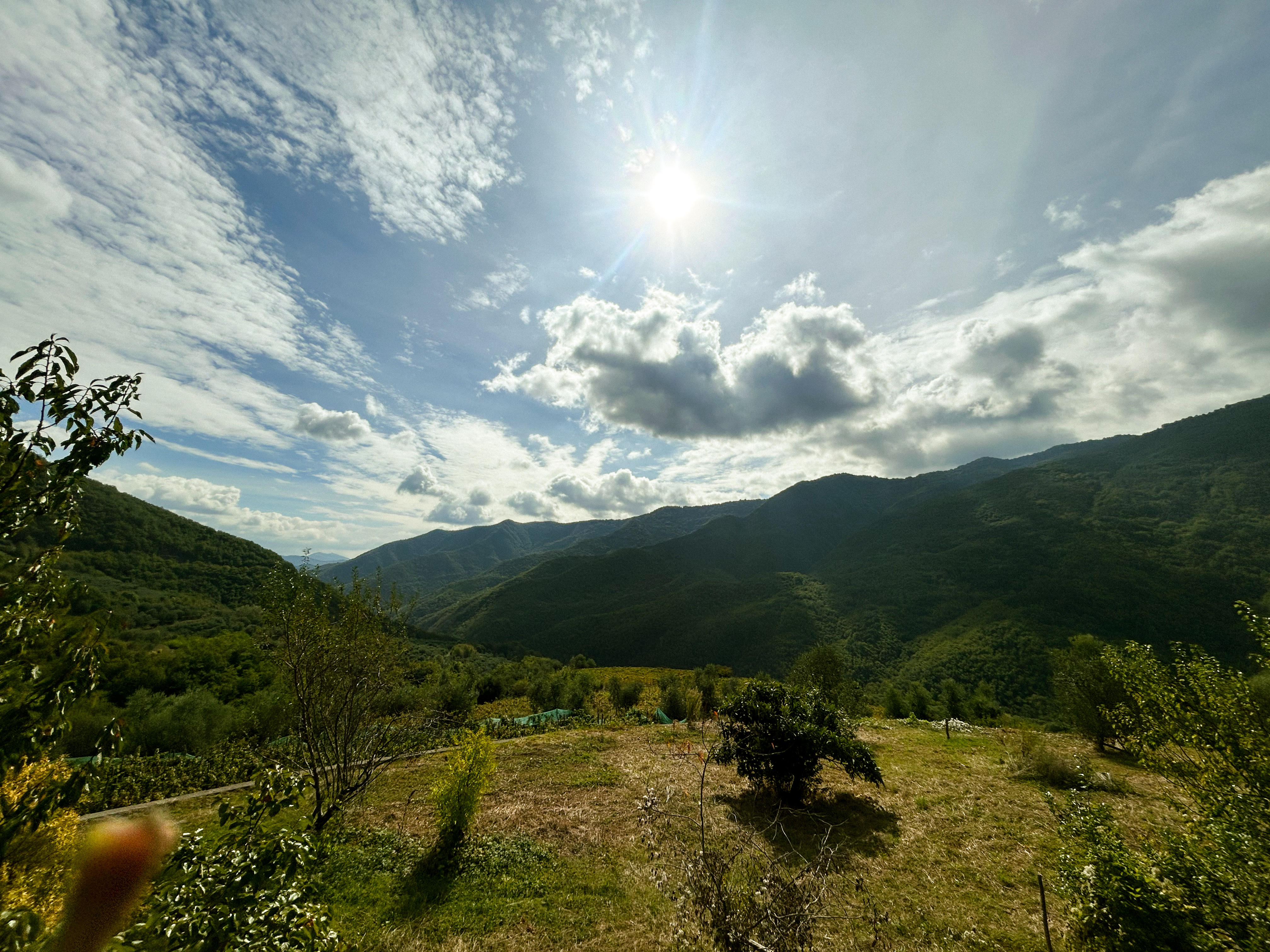 Gianan vineyard landscape