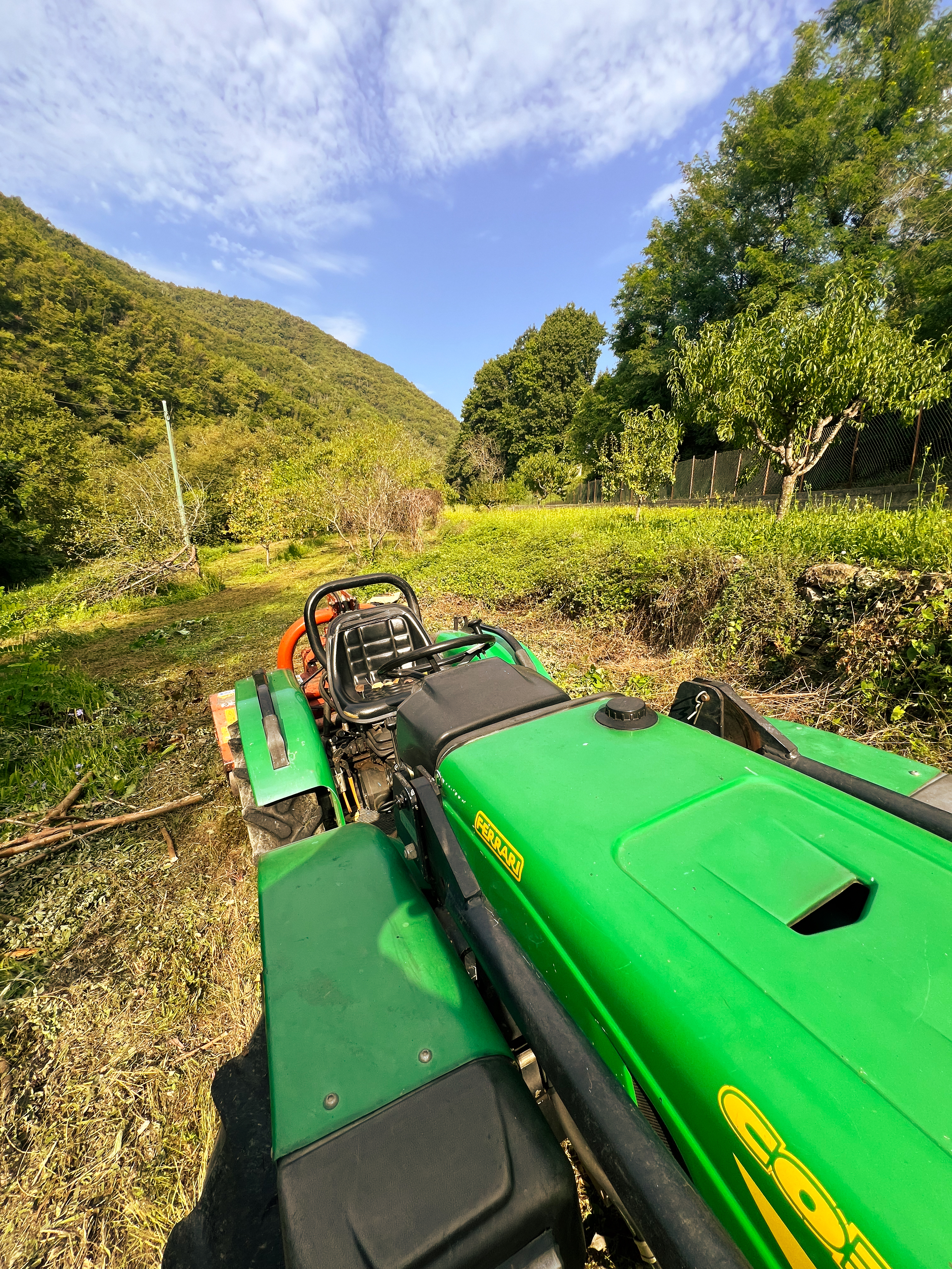 Vineyard work at Gianan